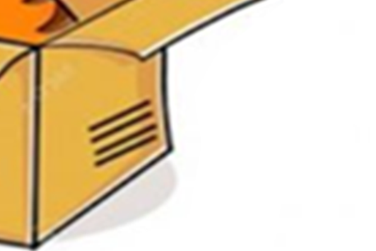 g4