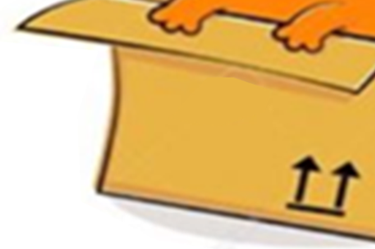 g3